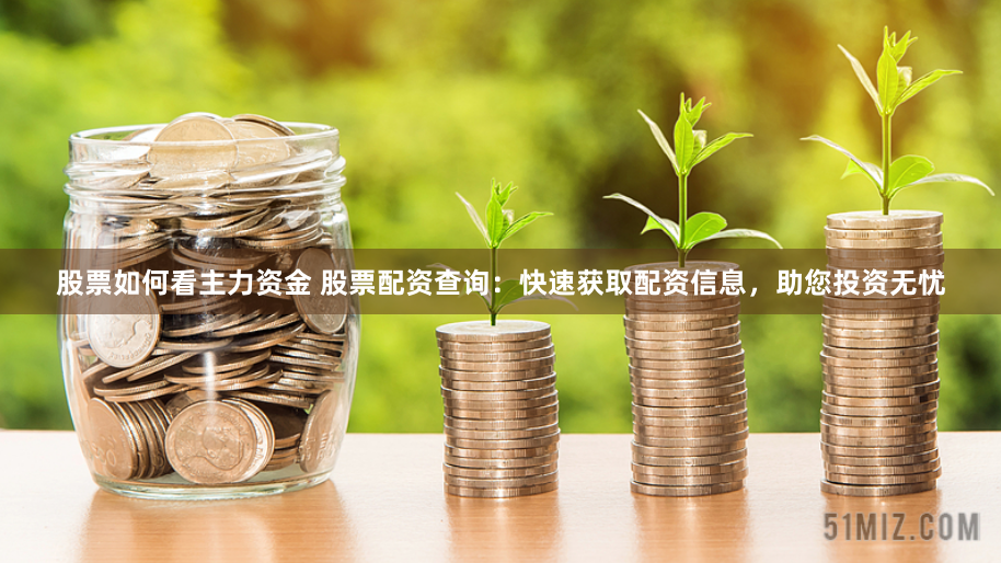 股票如何看主力资金 股票配资查询：快速获取配资信息，助您投资无忧